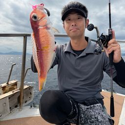 アマダイ