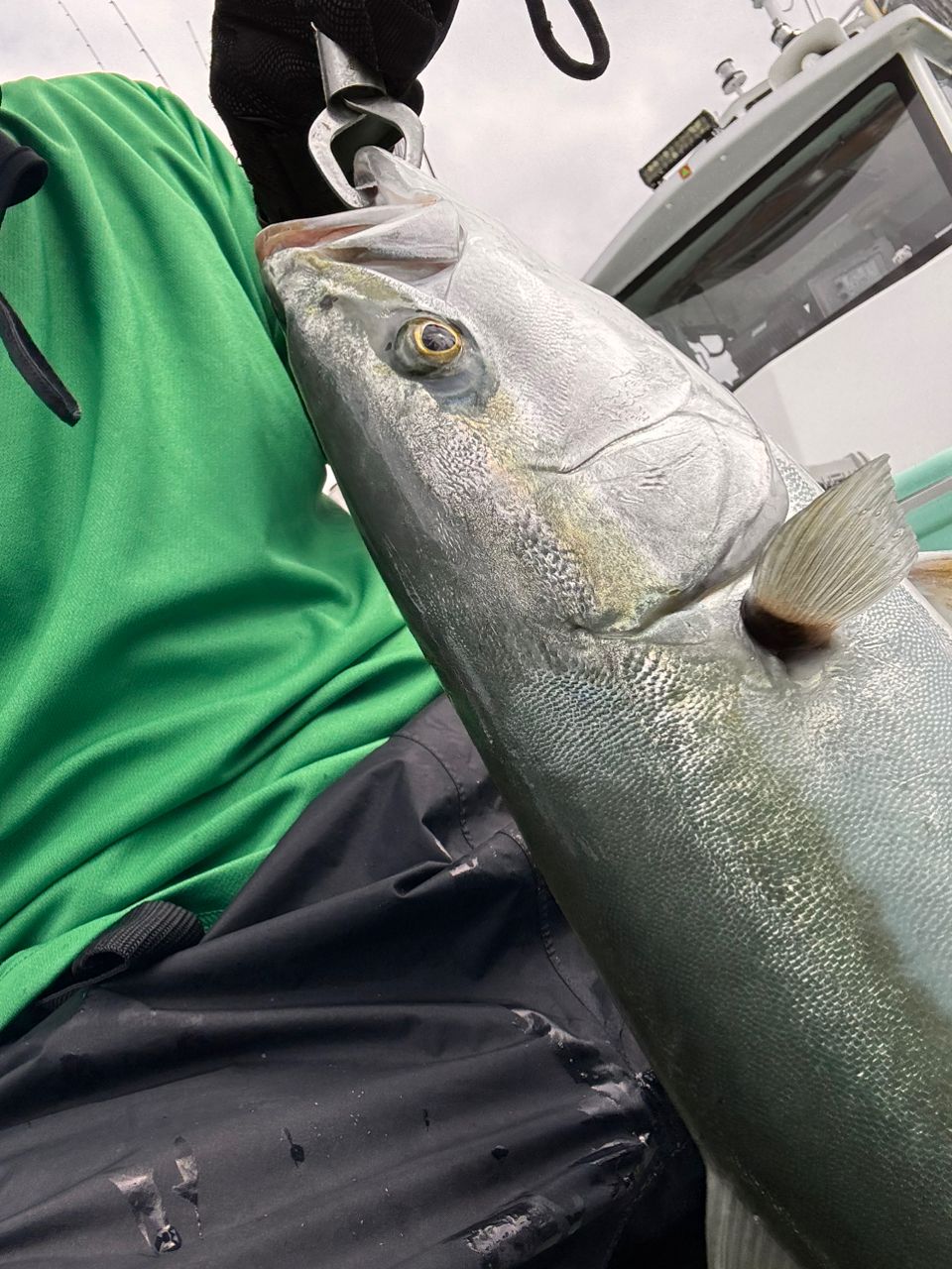 のばさんの釣果 1枚目の画像