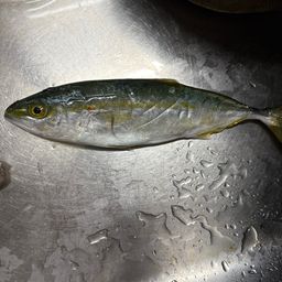 コゾクラ