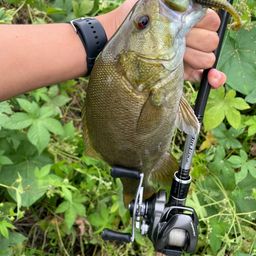 スモールマウスバス