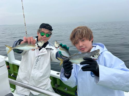マアジの釣果