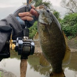 スモールマウスバス
