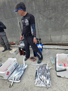 タチウオの釣果