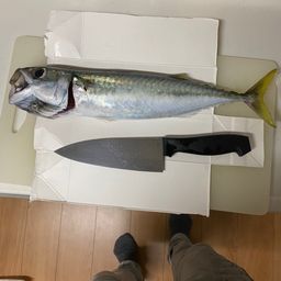 サバ