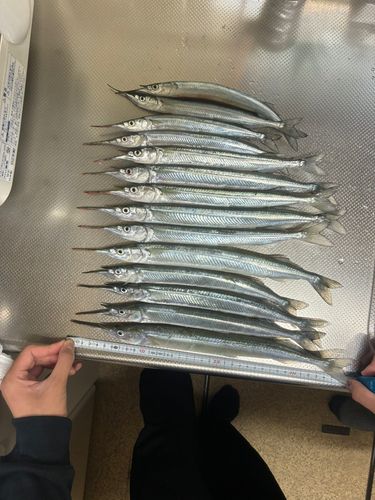 中浜名湖