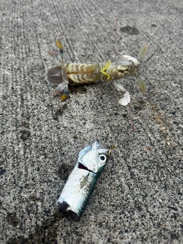 留萌港