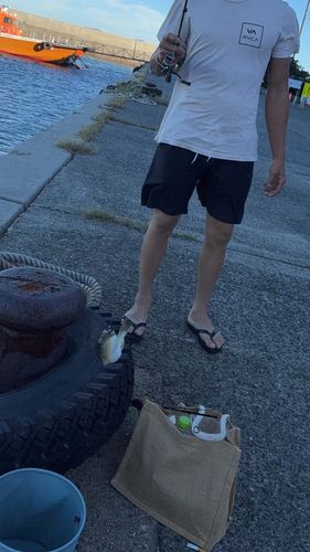 知多湾