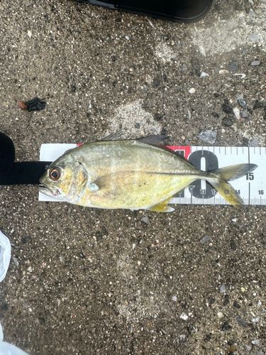 釣果
