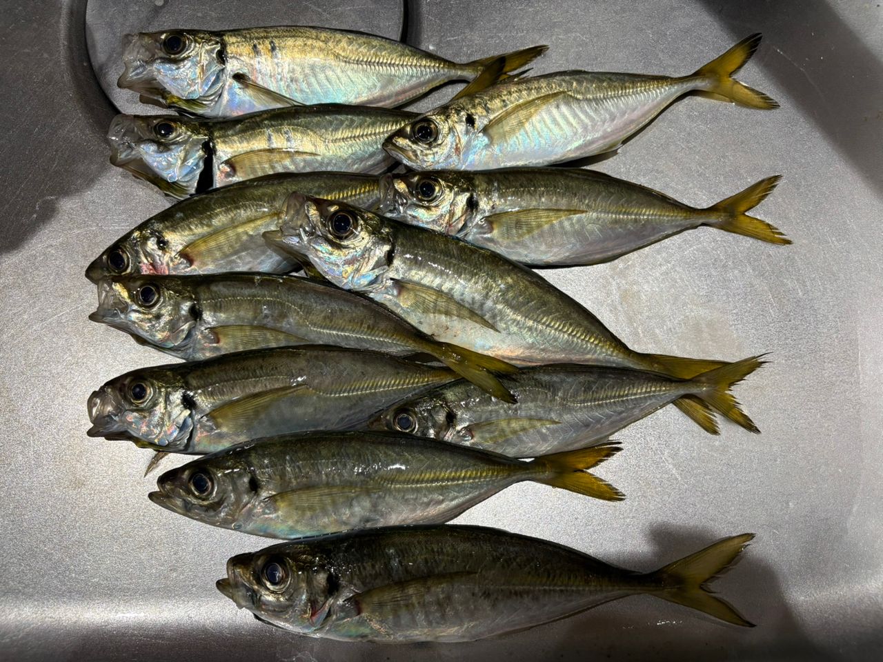 OLYMPIC 20コルト UX GCORUS-642L-HSの最安値・インプレ・釣果 | 本音