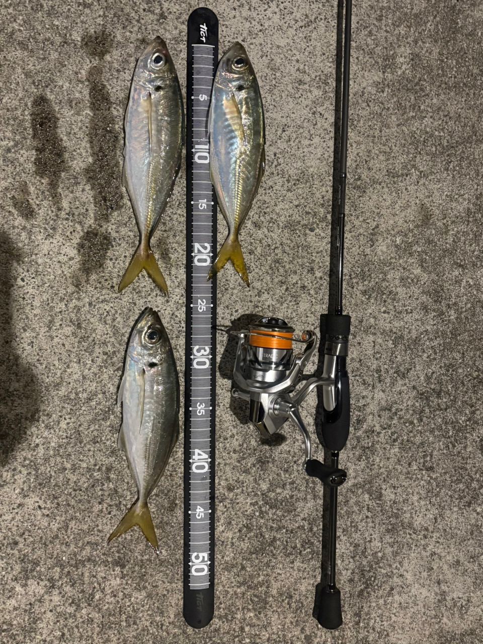 鯵道5g 622ｌ 鯵道5g 622l」の人気商品一覧 | 安い商品を通販サイトから探す