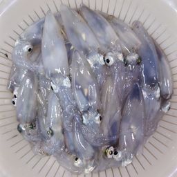 マメイカ