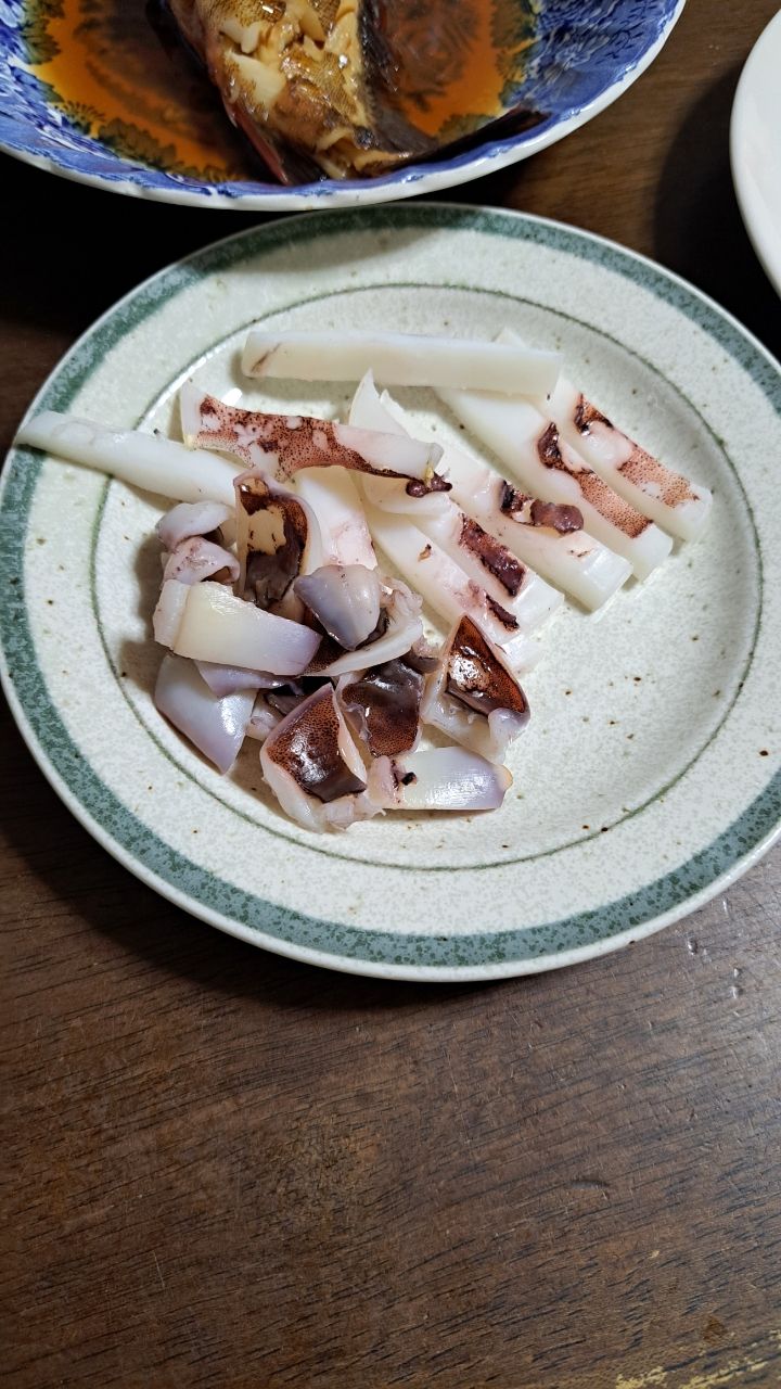 アオリイカ