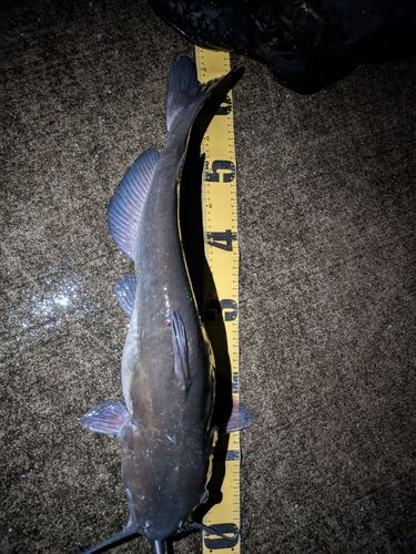 霞ヶ浦