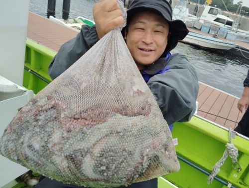 マダコの釣果
