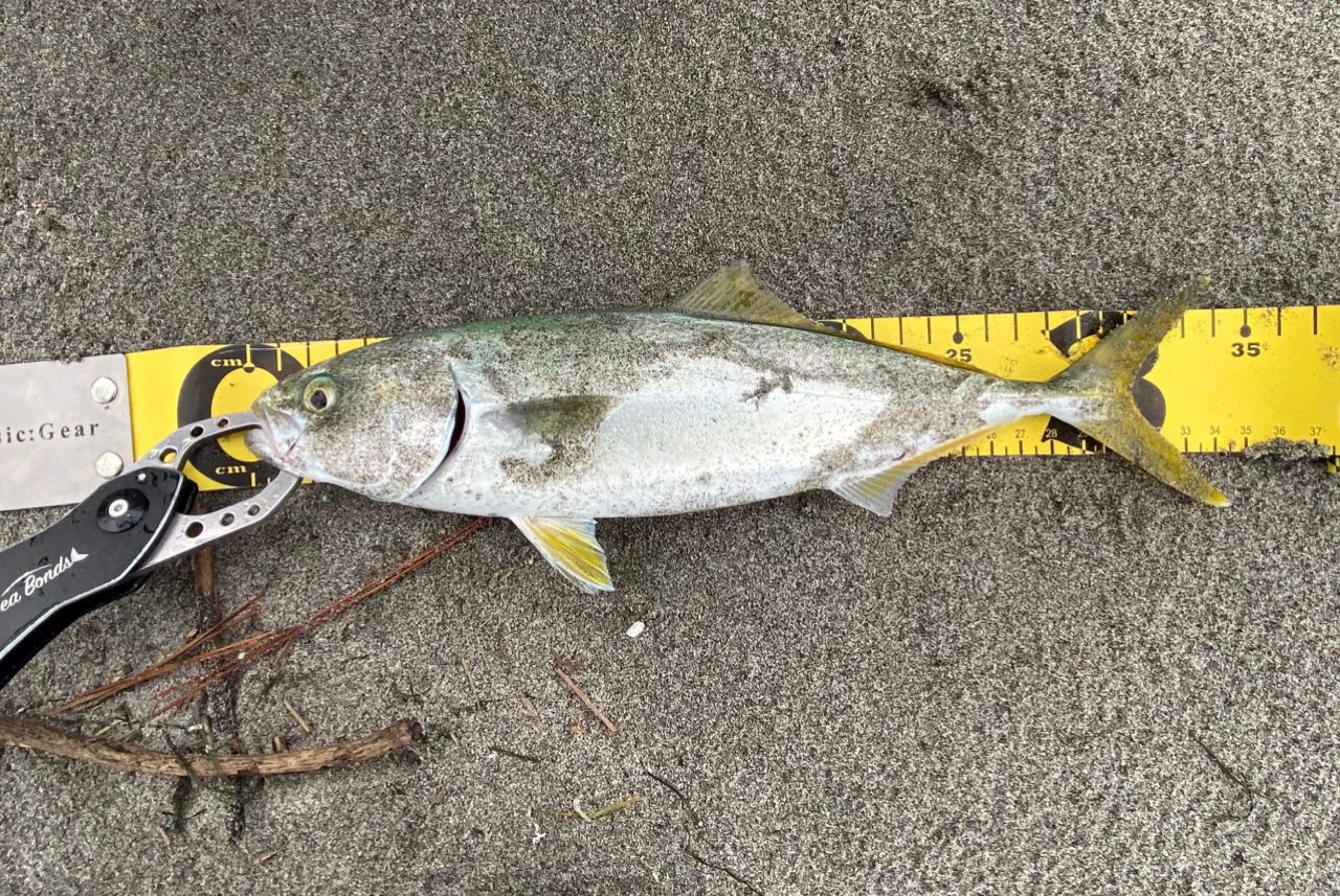 国士無双ヤマガブランクス　アーリーフォーサーフ 103M 美品 国士無双ヤマガブランクス アーリーフォーサーフ 103M 美品