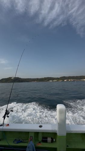 東京湾