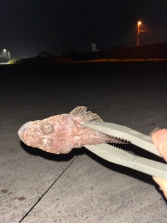 釣果