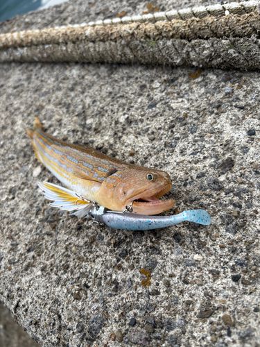 長崎湾