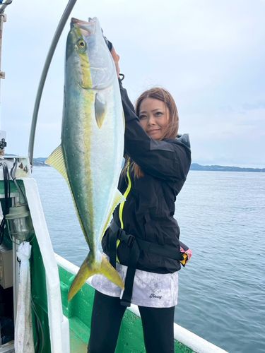 ハマチの釣果