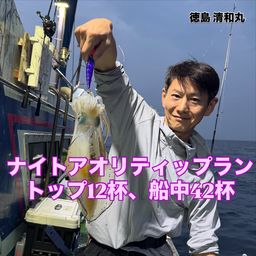 アオリイカ
