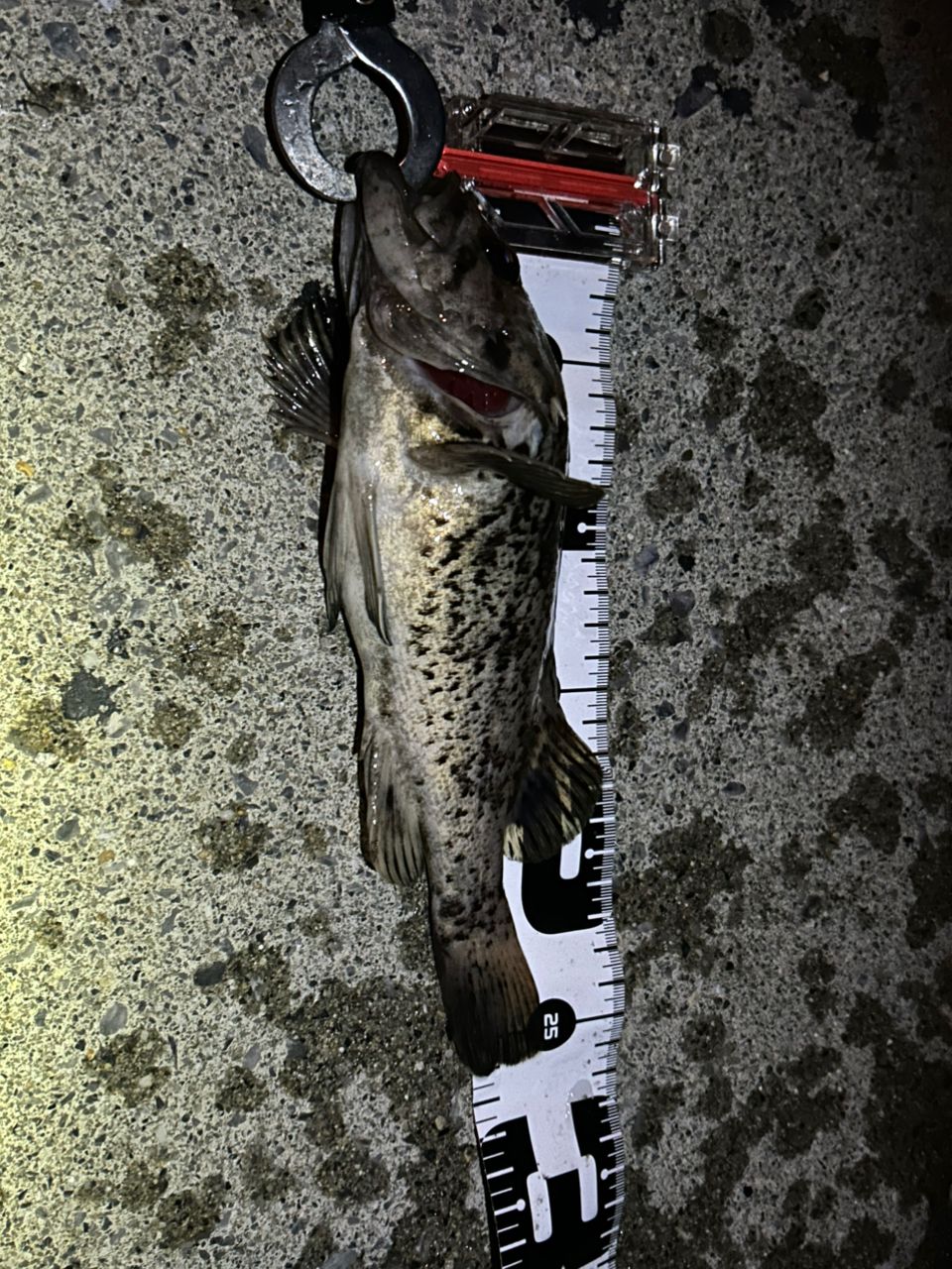 DAIWA　JIGCASTER 90MH ハードロックx90mh ダイワ HRF 90MH・Q (ロッド・釣竿) 価格比較 - 価格.com