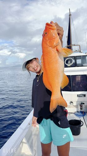 アカジンミーバイの釣果