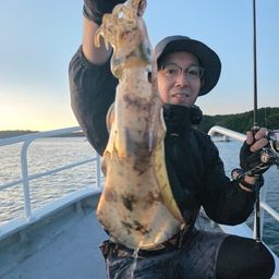 アオリイカ