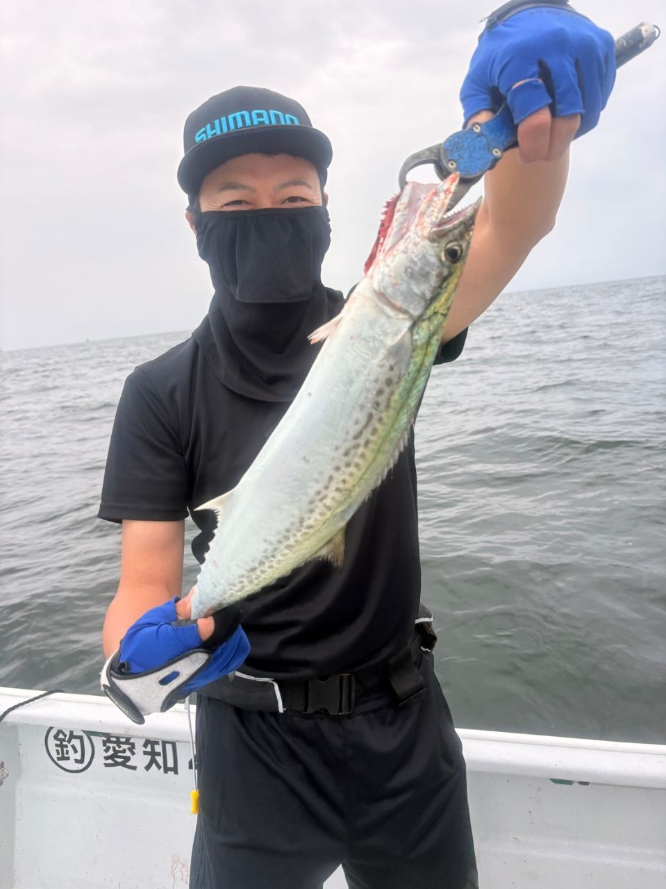 釣りメンぱぱさんの釣果 1枚目の画像