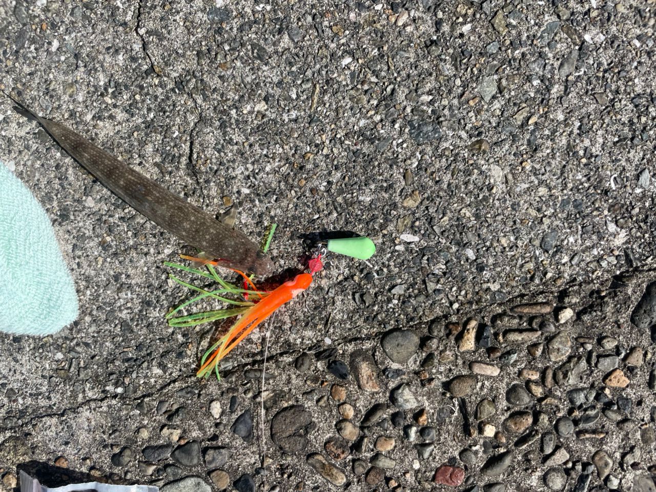 ニベ