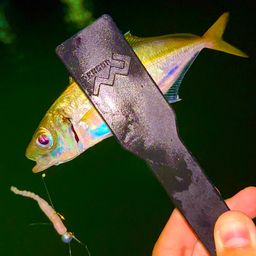 アジ