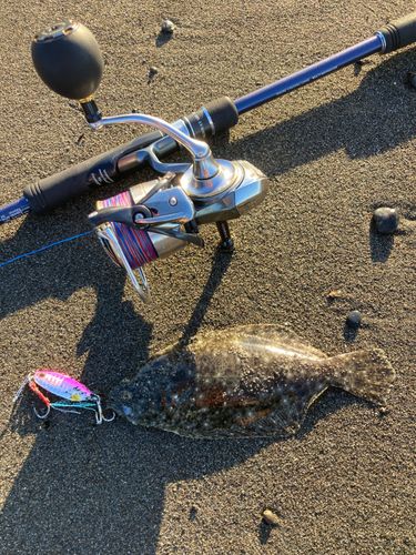 ソゲの釣果