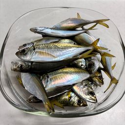 アジ