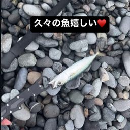 サバ