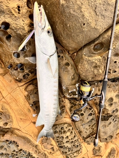 オニカマスの釣果