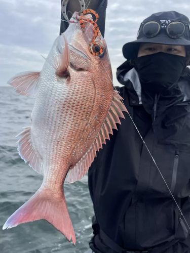 タイの釣果