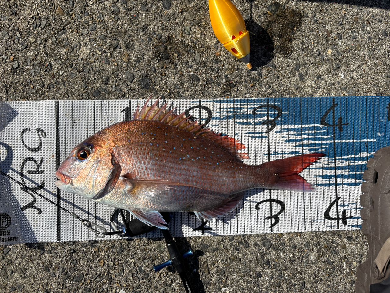 NISSIN イングラム ブラックエディション 遠投 両軸 4号プラス58の最