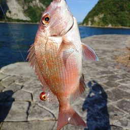タイ