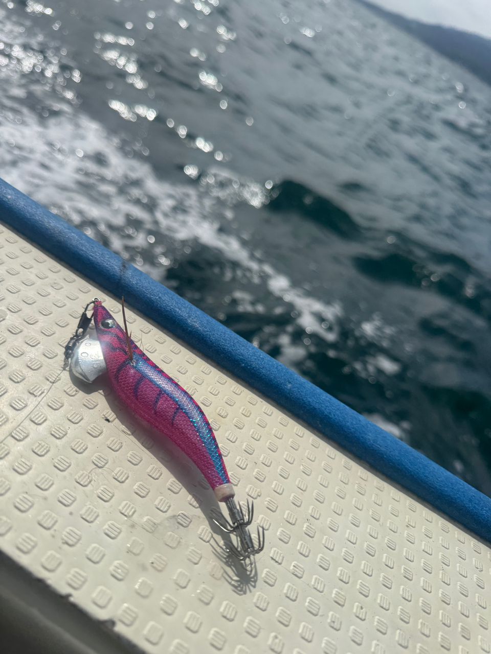 わんこわんさんの釣果 2枚目の画像