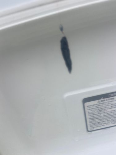 チチブの釣果