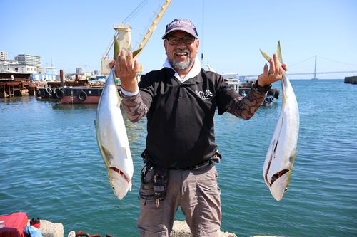 サワラの釣果