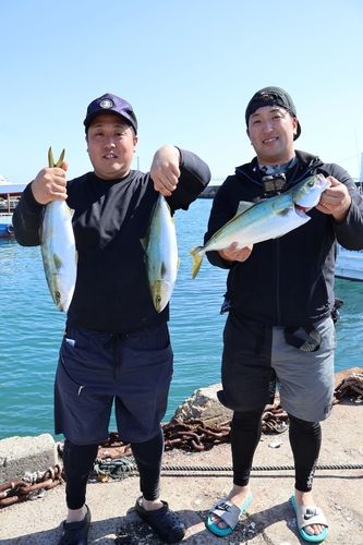 ハマチの釣果