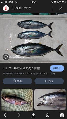 釣果