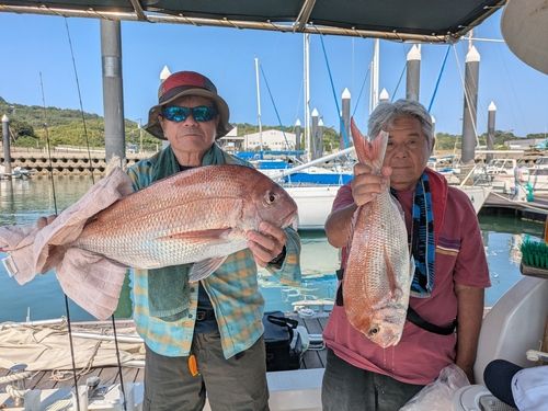 タイの釣果