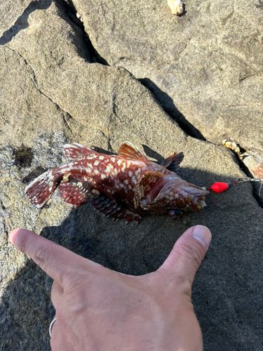 江ノ島表磯