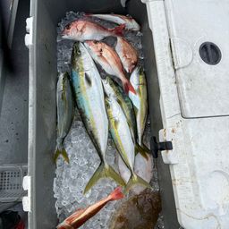 タイ