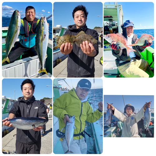 ワラサの釣果