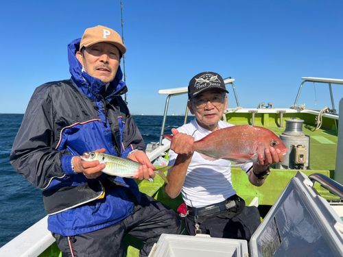 マアジの釣果