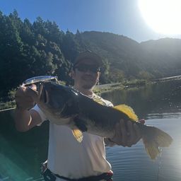 ラージマウスバス