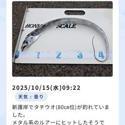 タチウオ