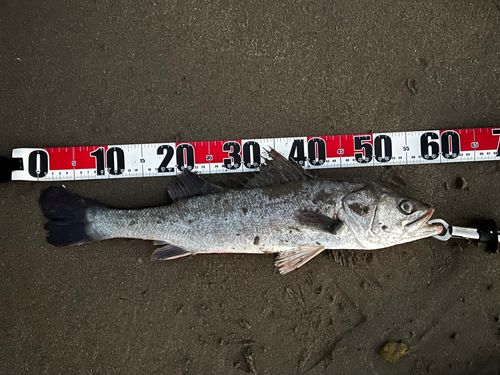 潜ヶ浦水道